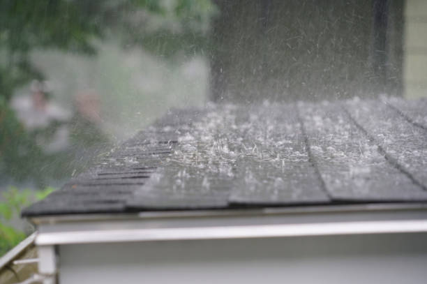 Best Roof Insulation Installation  in Highland Park, MI