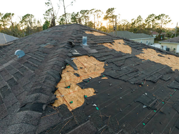 Best Roofing for New Construction  in Highland Park, MI