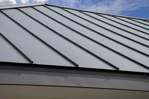 Best Skylight Installation and Repair  in Highland Park, MI